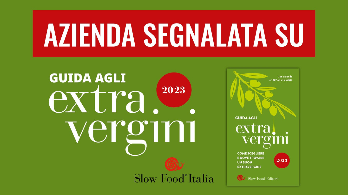 6 bottiglie di olio EVO VitaNova “Vitruvio” - Mono varietà Itrana, alti polifenoli