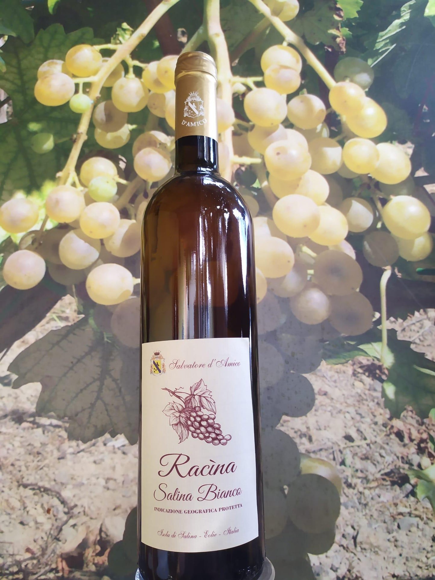 Vino SALINA BIANCO MALVASIA IGP BIO "Racina" (2018) - I migliori prodotti Made in Italy da Fiera Monza e Brianza Shop - Solo 19€! Acquista subito su Fiera di Monza Shop!