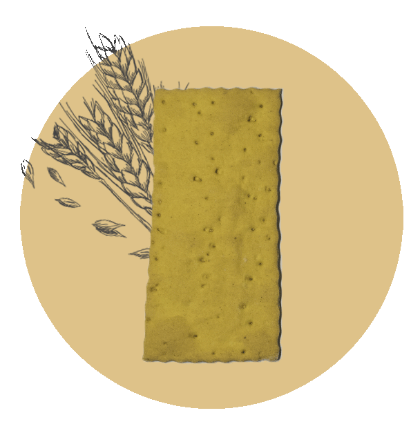 Cracker con Curcuma e Zenzero - I migliori prodotti Made in Italy da Fiera Monza e Brianza SHOP - Solo 7€! Acquista subito su Fiera di Monza Shop!
